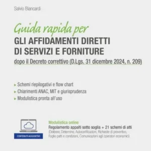 Guida rapida per gli affidamenti diretti di servizi e forniture dopo il Decreto correttivo (D.Lgs. 31 dicembre 2024, n. 209)
