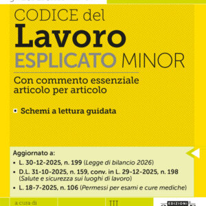 Codice del Lavoro Esplicato Minor – E8/A